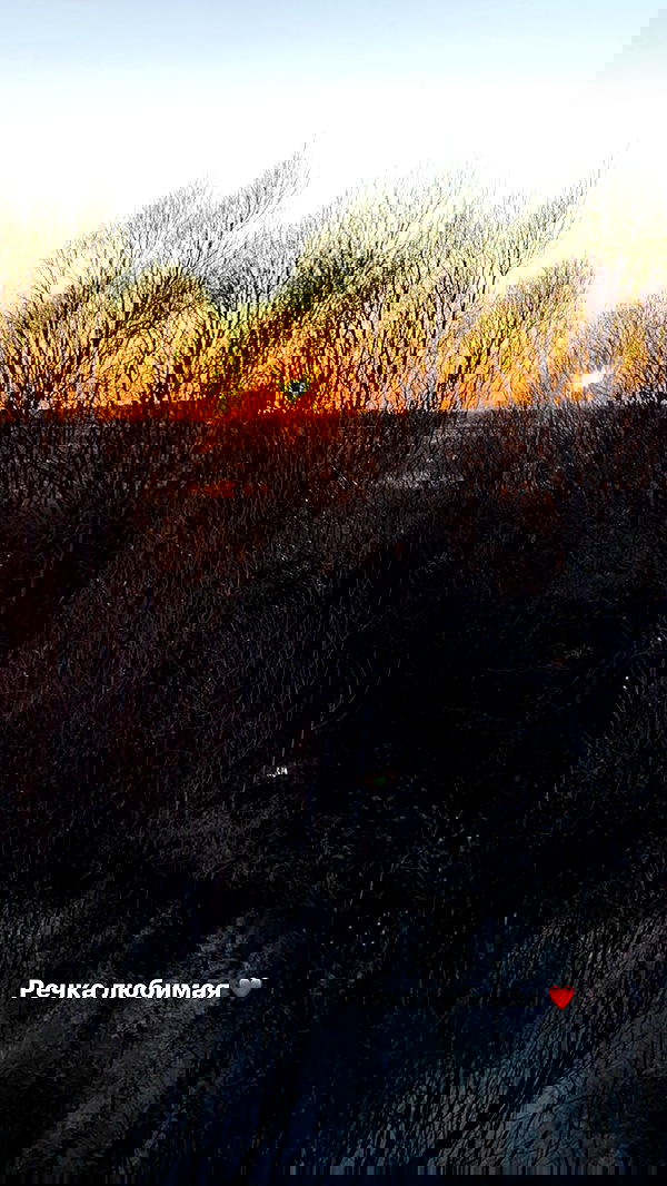 nyityam nyityam archive image