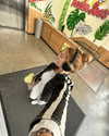 rouxroux.tv Altpins Profile Picture