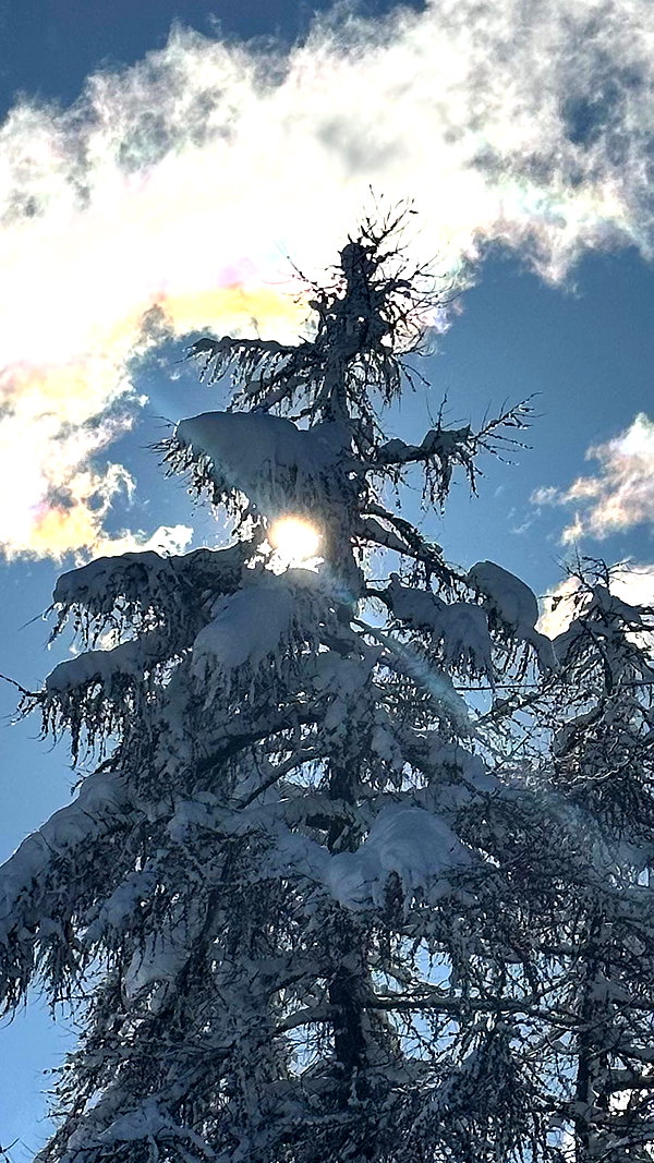 romi_henenson instagram image archive image