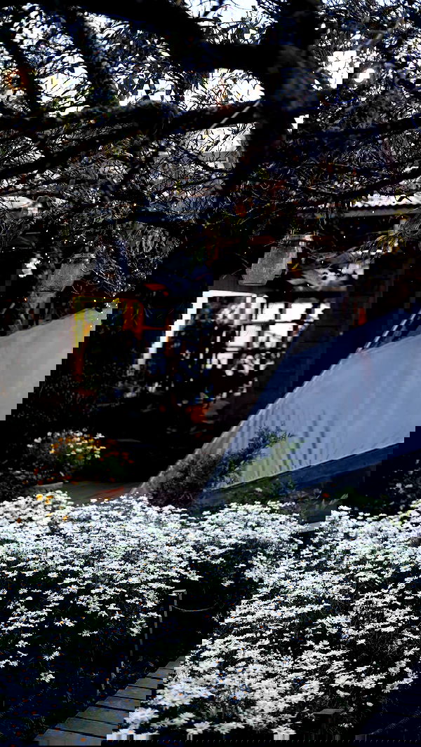 giangg._ giangg._ archive image