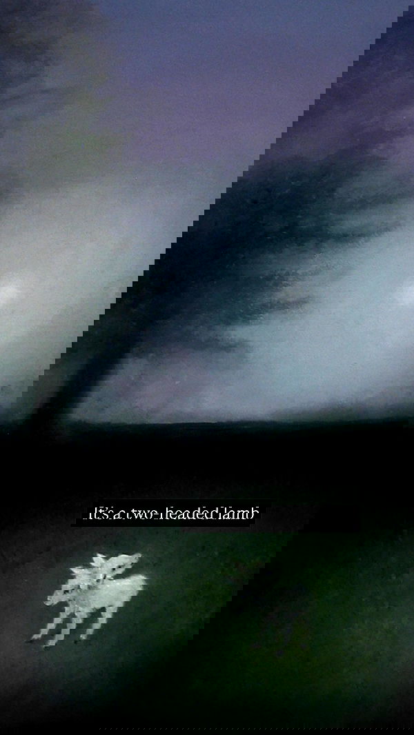 milkgore milkgore archive image