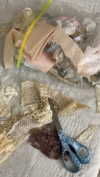 teakitten_ Altpins Profile Picture