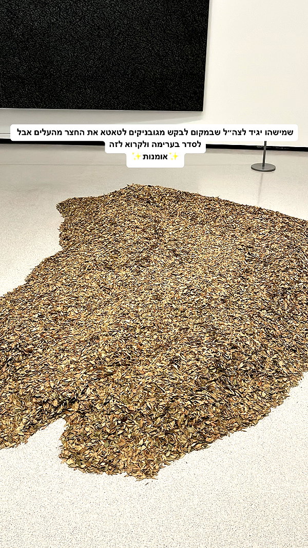 kesemgreenyer instagram image archive image