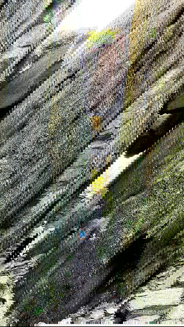 taylor.creeden taylor.creeden archive image