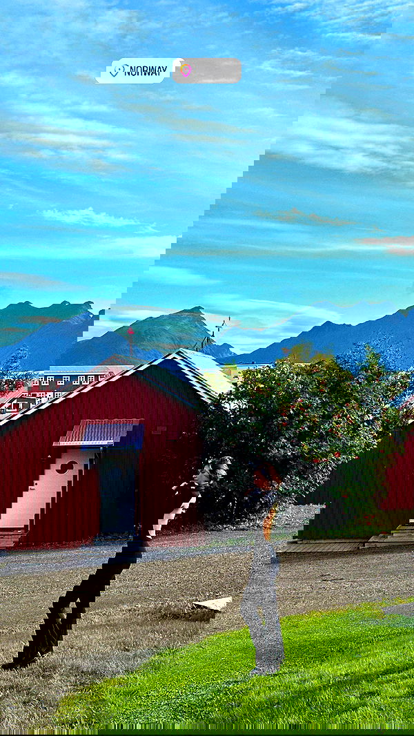 taylor.creeden taylor.creeden archive image