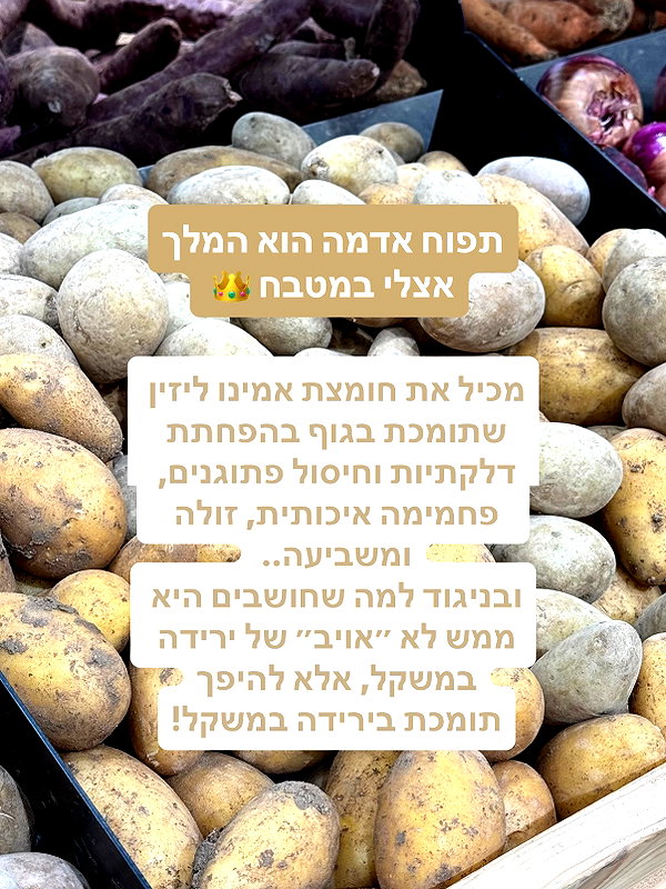 lital.oss instagram image archive image