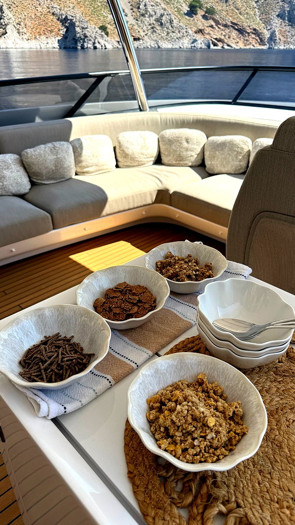 barzomer instagram image archive image