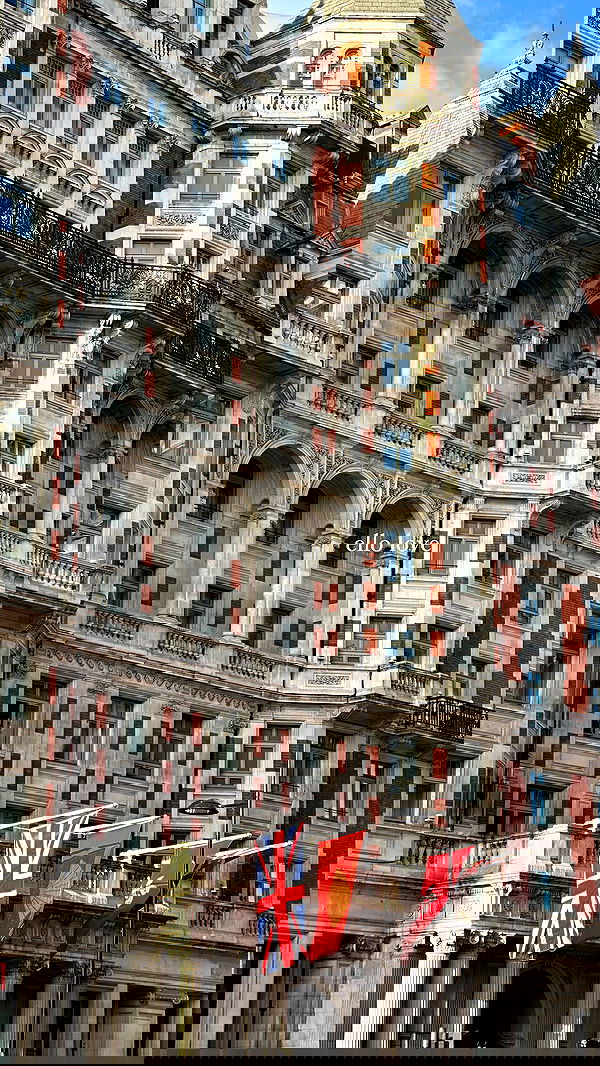 taylor.creeden taylor.creeden archive image