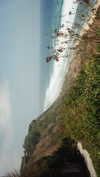 pia__kim Altpins Profile Picture