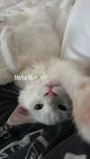 jessie.ra3 Altpins Profile Picture