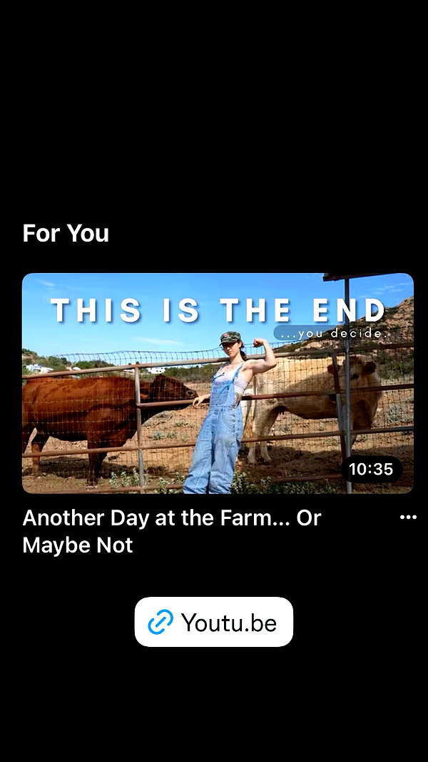 Archived image from @leanbeefpatty on Instagram