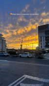 sheli.belayev Altpins Profile Picture