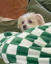 madelame Altpins Profile Picture