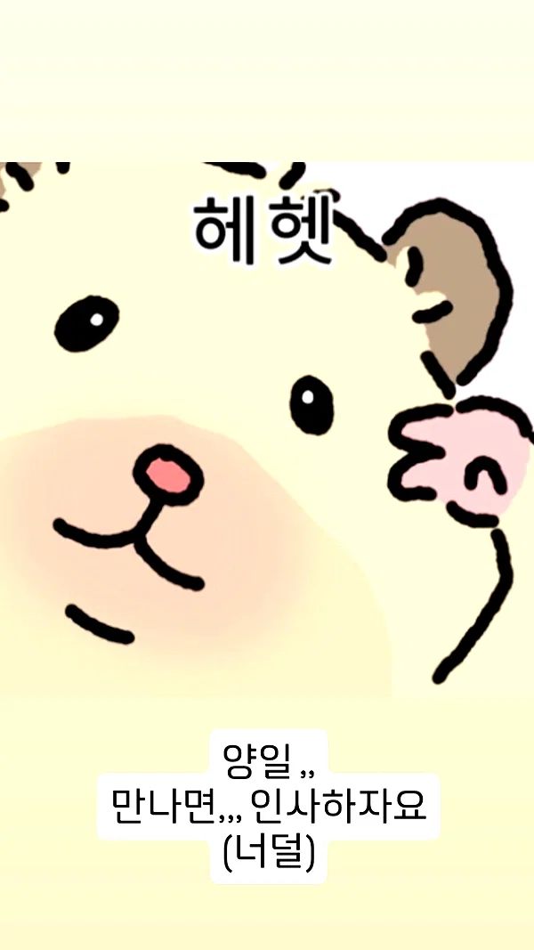 bora__look archive image