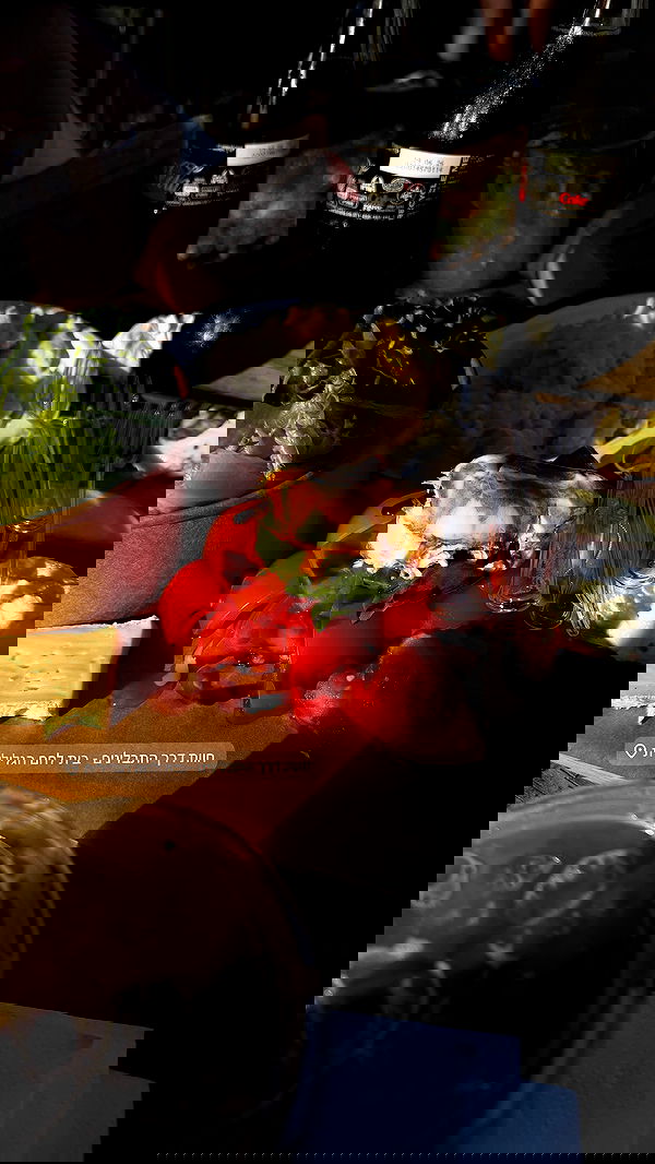 _._dianush._ _._dianush._ archive image