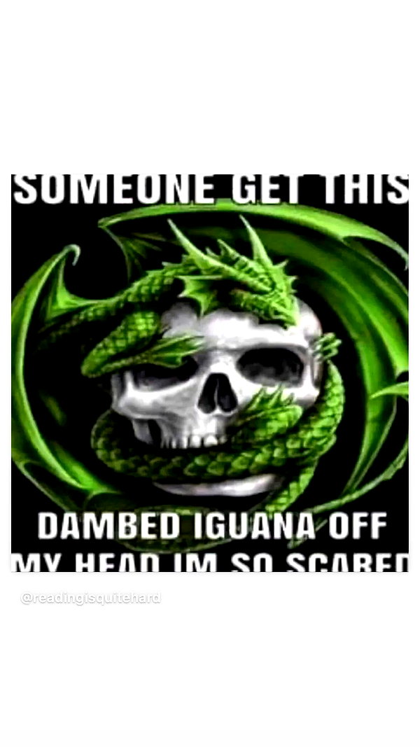 imskirby instagram image archive image