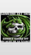 imskirby Altpins Profile Picture