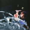 camimendes Altpins Profile Picture