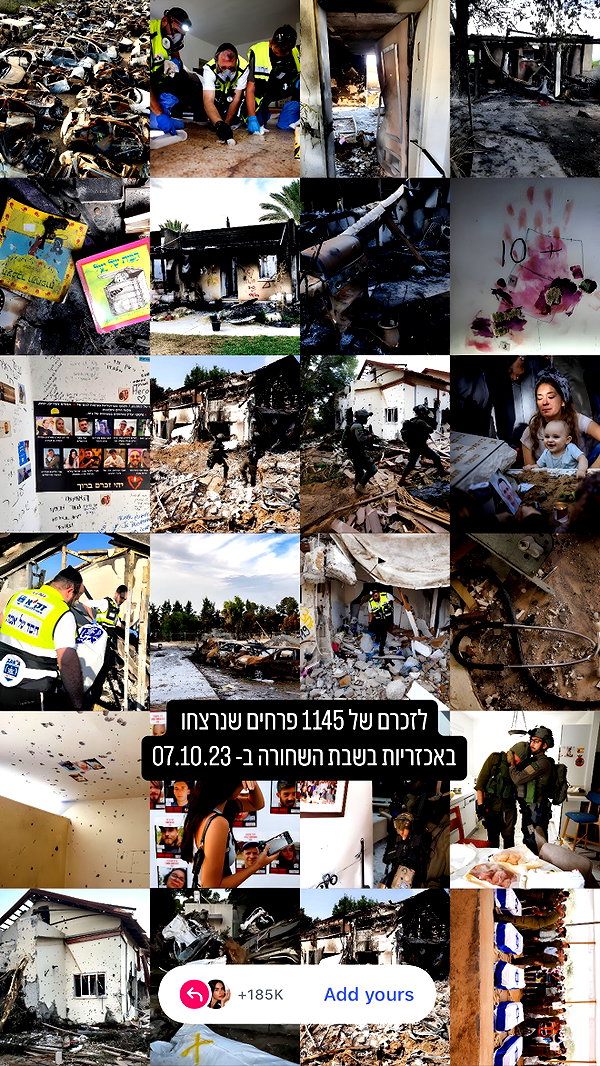 sapir_avisror sapir_avisror archive image