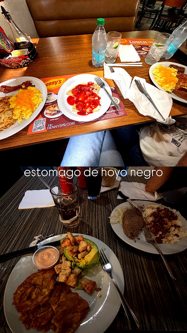 mosssaico instagram image archive image