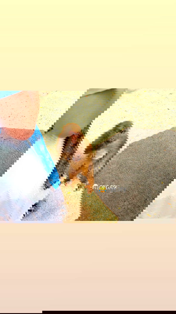 may.kaminski may.kaminski archive image