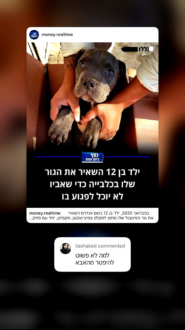 liashaked instagram image archive image
