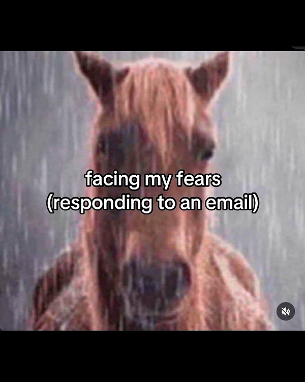 leanbeefpatty instagram image archive image