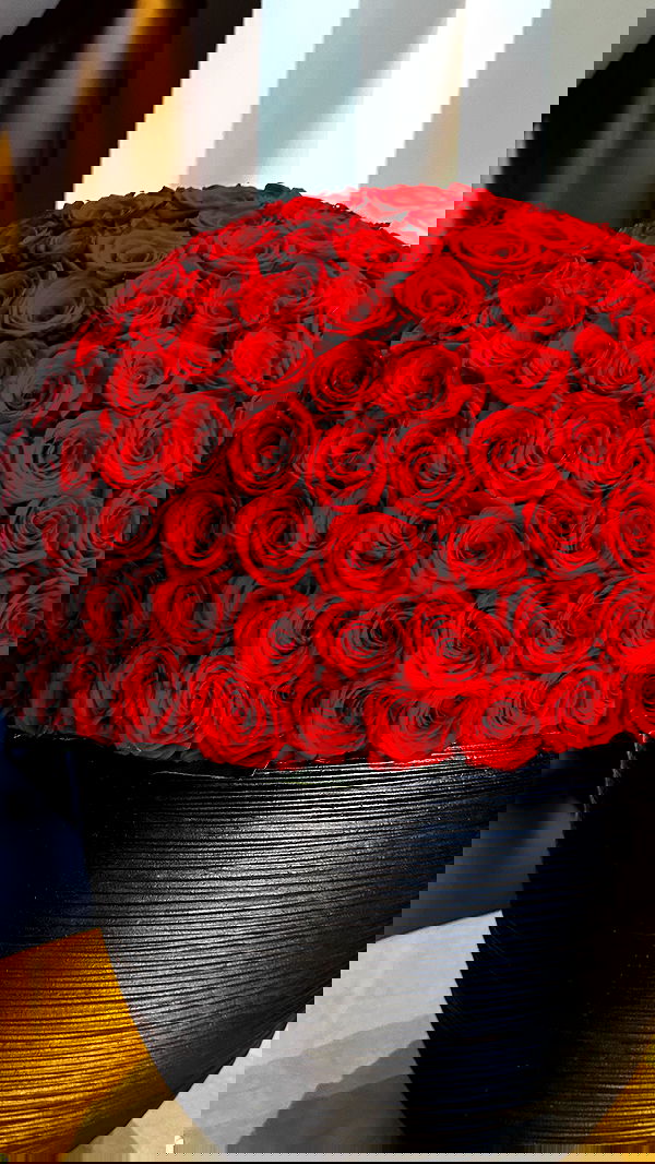 taylor.creeden taylor.creeden archive image