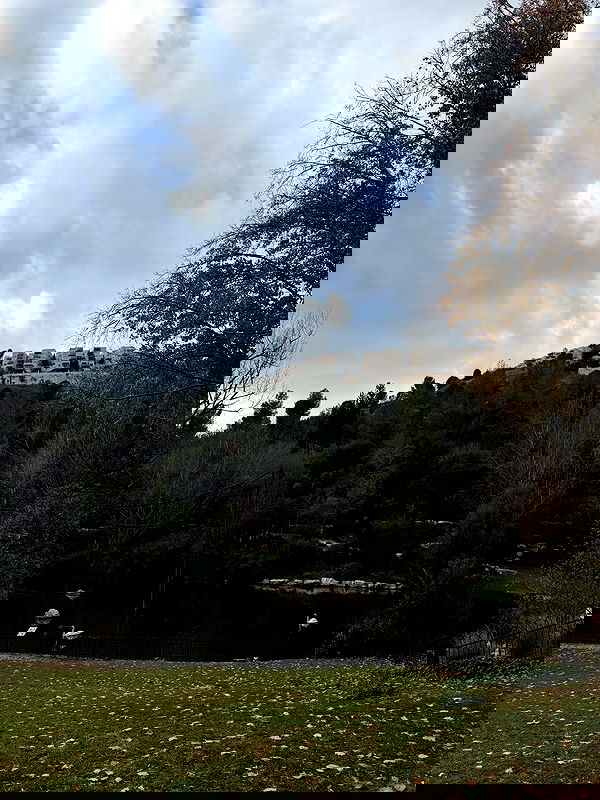 strawberryshanz strawberryshanz archive image