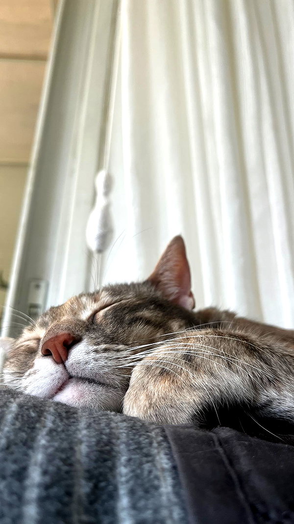 Archived image from @notchicore on Instagram