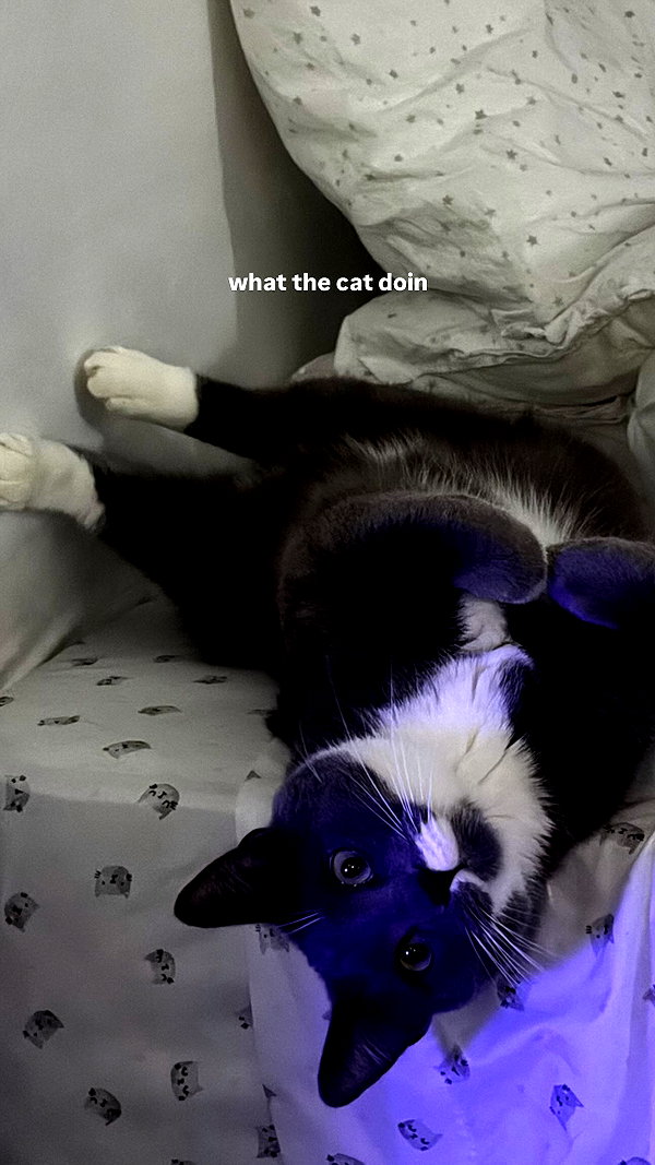 minenmi_ minenmi_ archive image