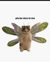 ellaexplicit_ Altpins Profile Picture