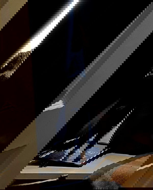 milkgore milkgore archive image