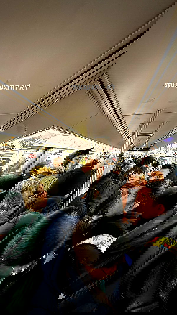 biton__adi biton__adi archive image