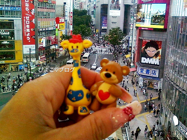 Archived image from @piyokoblog on Instagram
