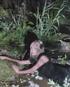 hhh.e_c.v Altpins Profile Picture