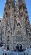 maori_cohen Altpins Profile Picture