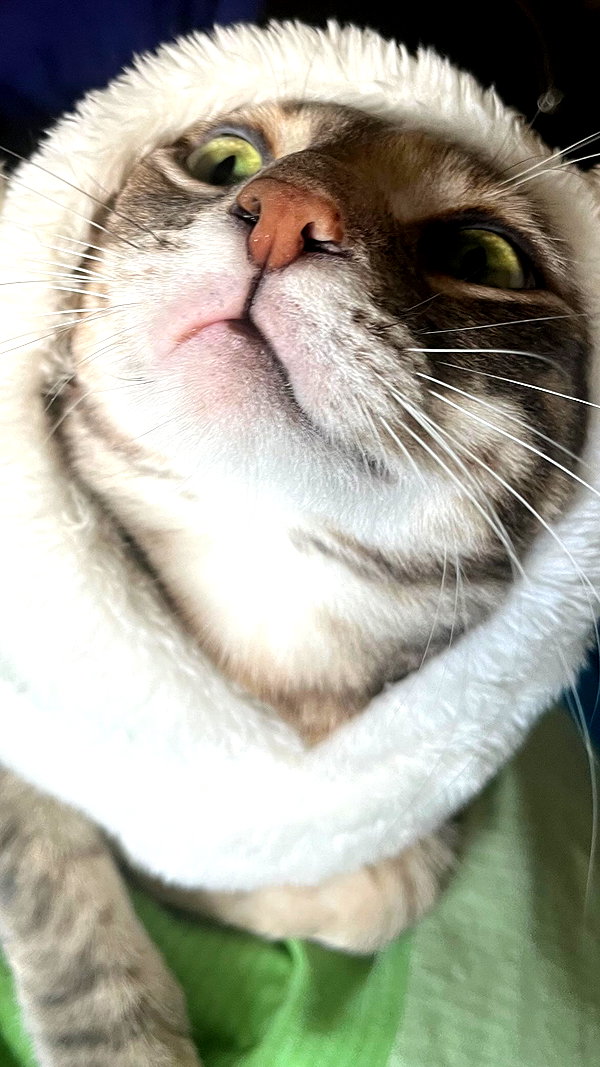 Archived image from @notchicore on Instagram