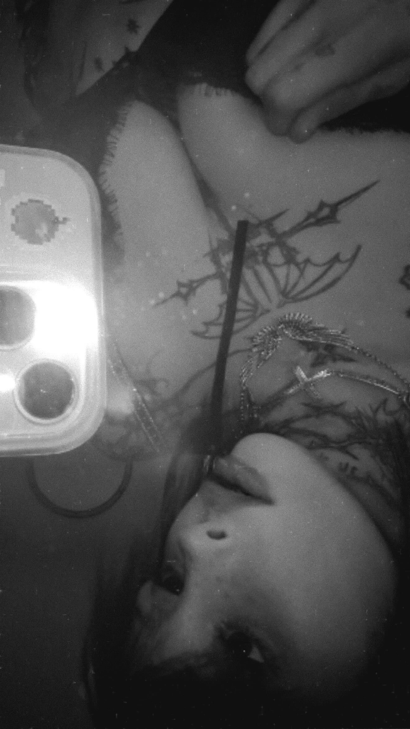 zommmbri instagram image archive image