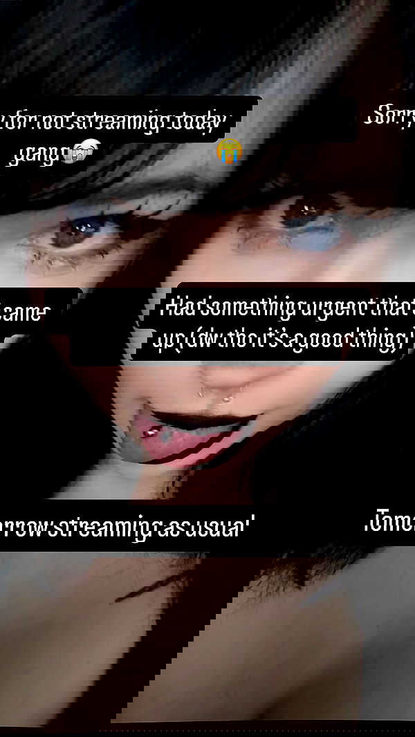 chibinekopurr chibinekopurr archive image