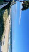 daisy_r_19 Altpins Profile Picture