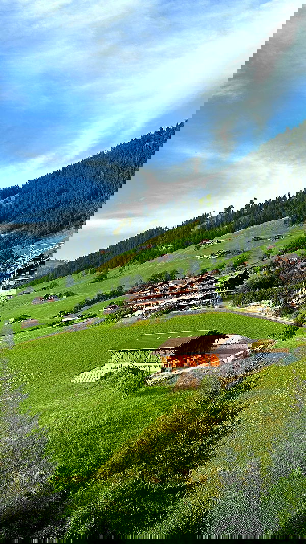 taylor.creeden taylor.creeden archive image