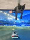 milkiwifey Altpins Profile Picture