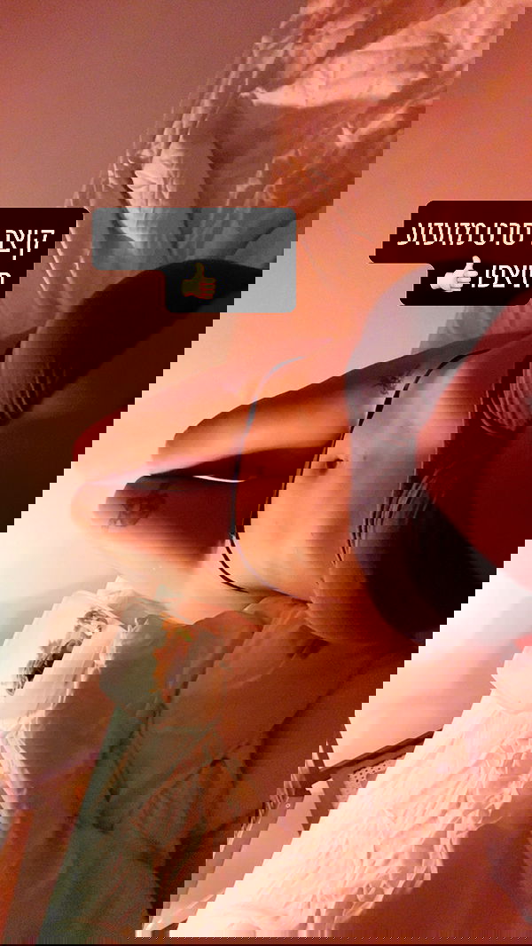 iambohema.v2 iambohema.v2 archive image