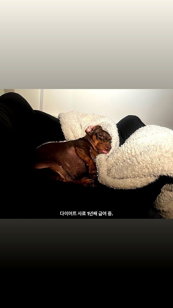 Archived image from @heroineseen on Instagram