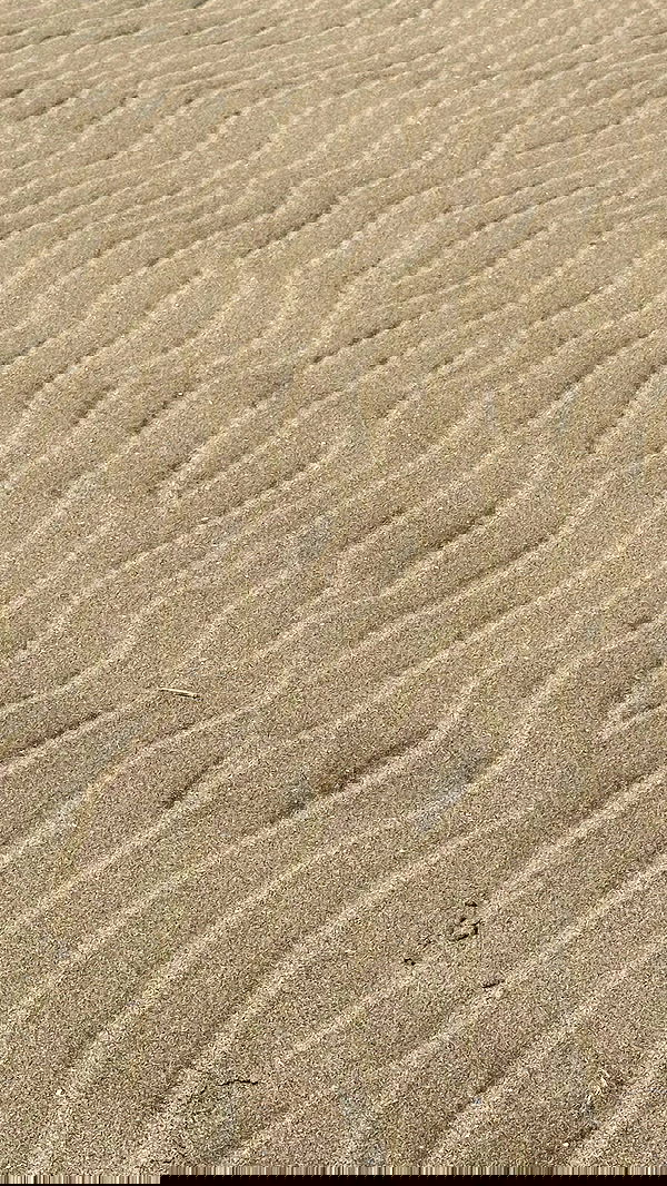 taylor.creeden taylor.creeden archive image