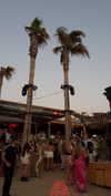 dekota_thompson Altpins Profile Picture