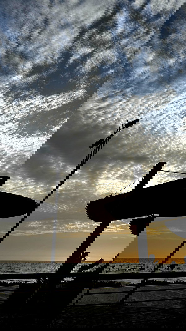 assoolin assoolin archive image