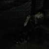 digital.grave Altpins Profile Picture