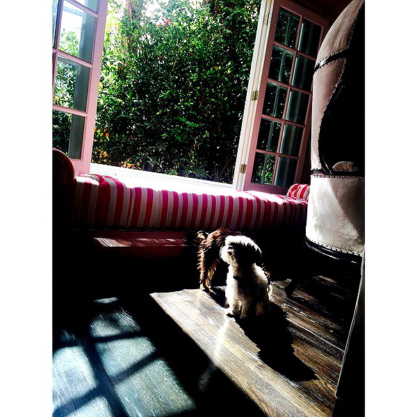 ashleybenson instagram image archive image